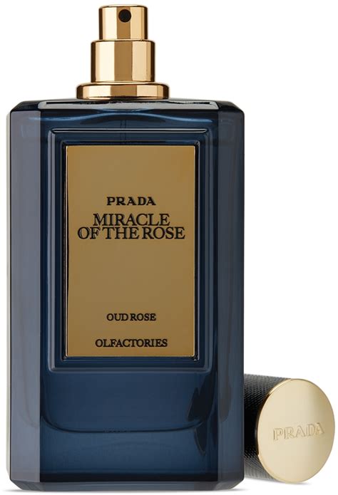 prada rose parfum|prada miracle of the rose.